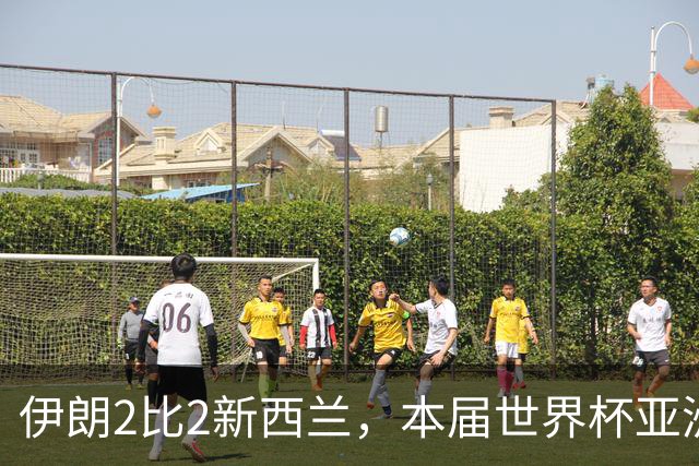 伊朗2比2新西兰，本届世界杯亚洲球队保持不败
