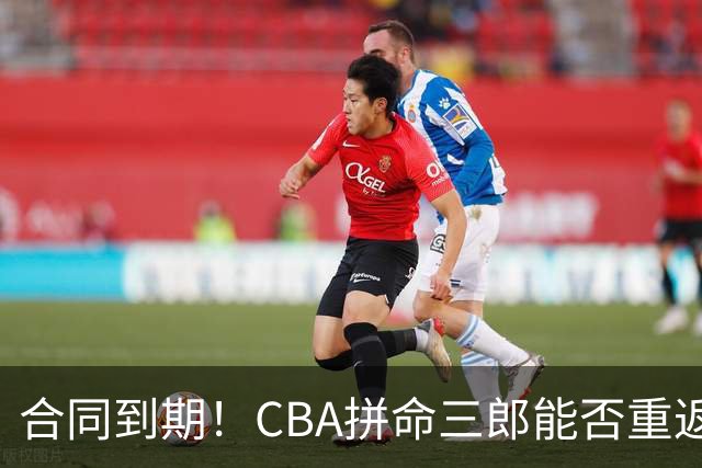 合同到期！CBA拼命三郎能否重返广东？期待辅佐徐杰、胡明轩